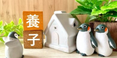 養子